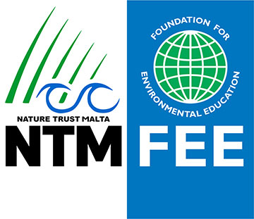 NTM-FEE logo